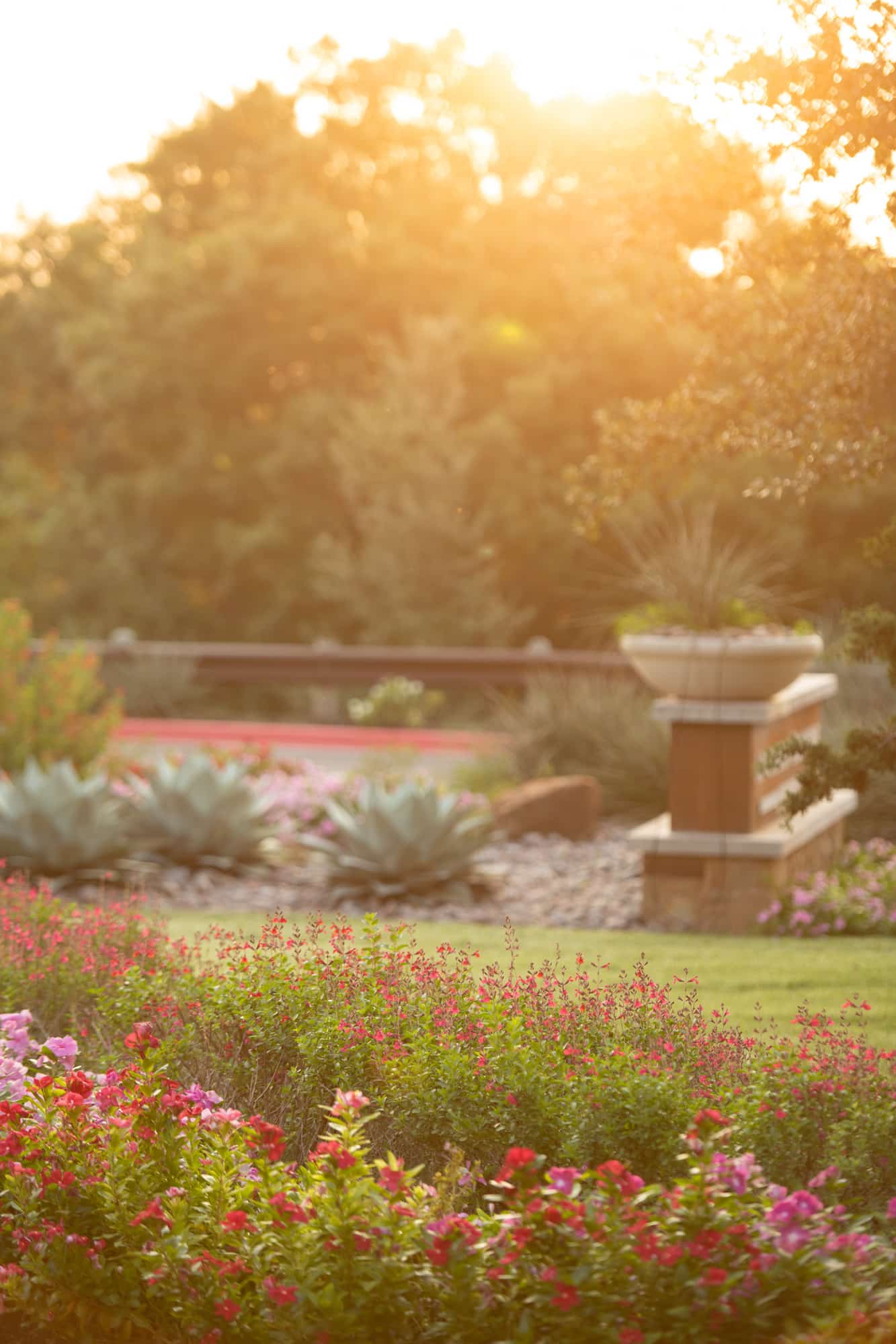 a shot of the outdoor gardens at LHV