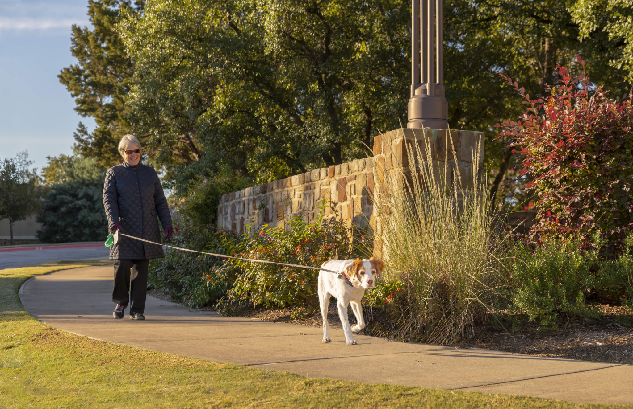 elderly citizen walking their dog in Austin, Texas